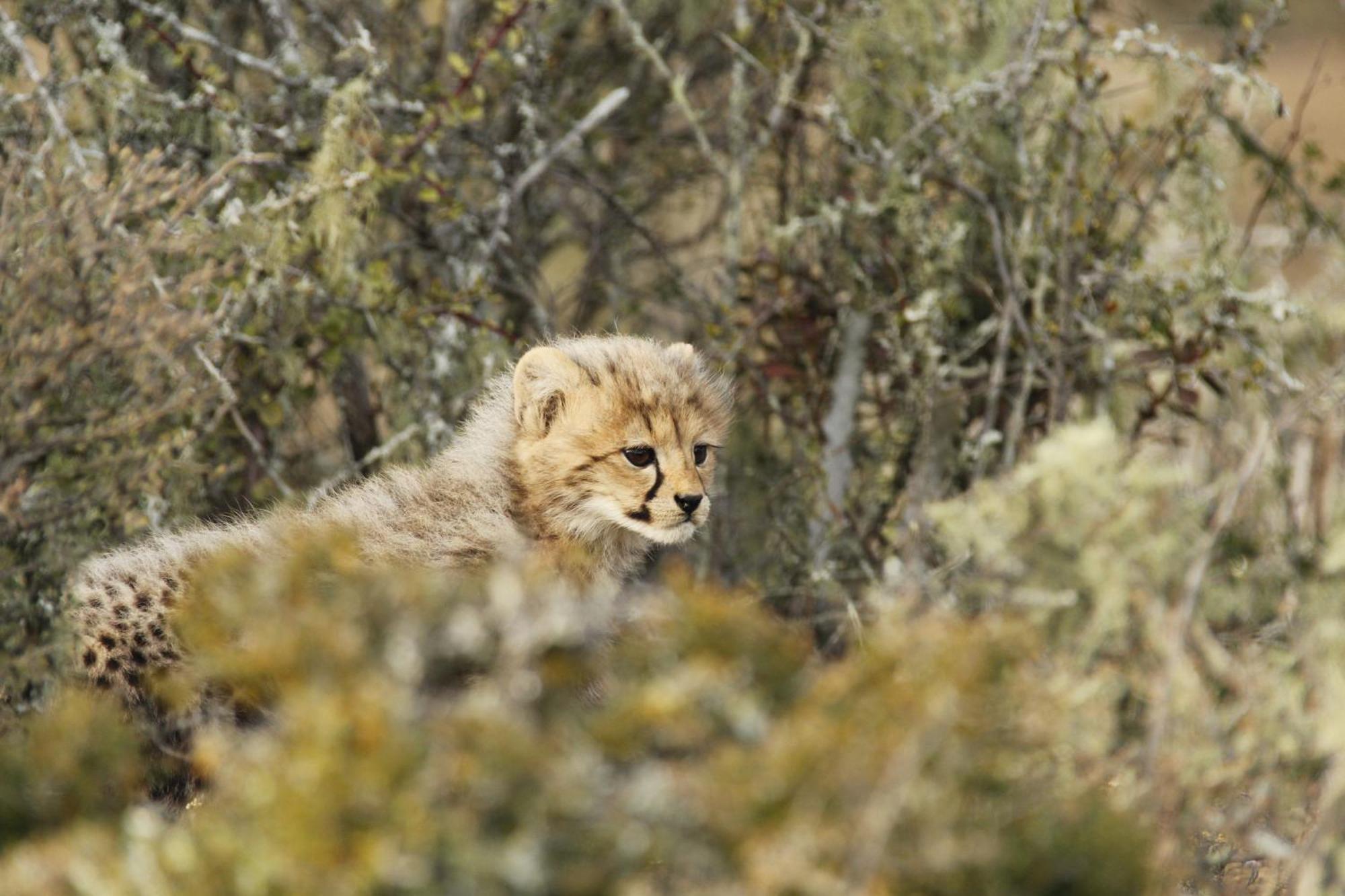 Kwandwe Private Game Reserve - Great Fish River Lodge Grahamstown Buitenkant foto