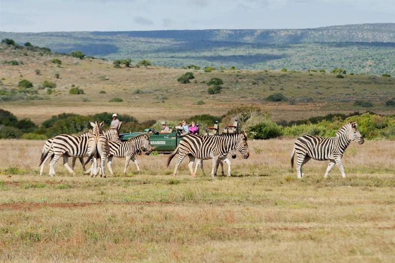 Kwandwe Private Game Reserve - Great Fish River Lodge Grahamstown Buitenkant foto
