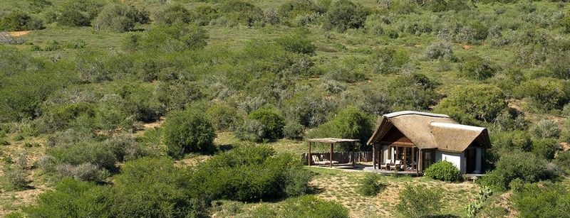 Kwandwe Private Game Reserve - Great Fish River Lodge Grahamstown Buitenkant foto