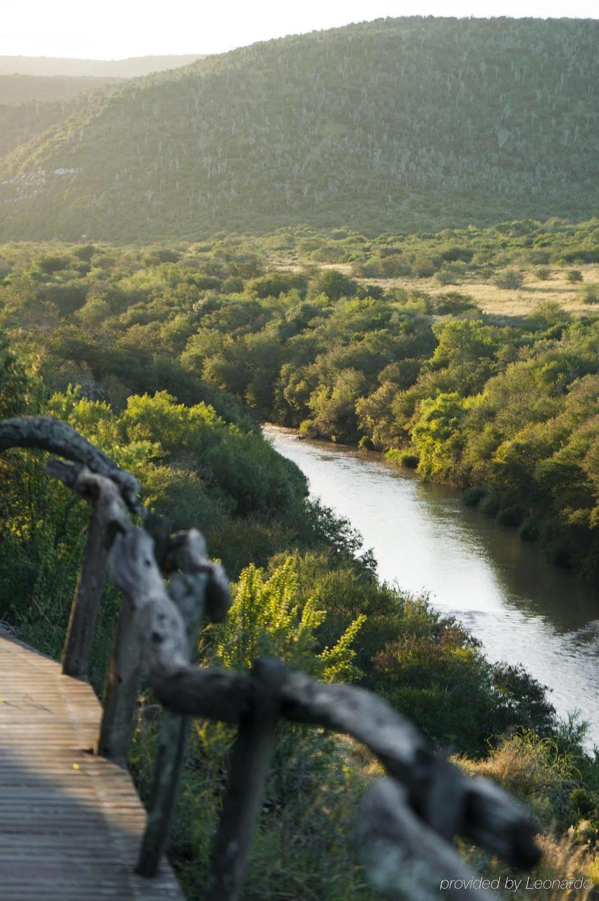 Kwandwe Private Game Reserve - Great Fish River Lodge Grahamstown Buitenkant foto