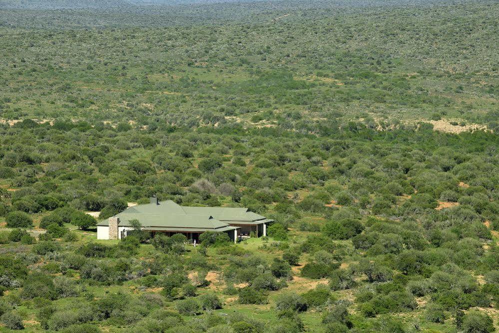 Kwandwe Private Game Reserve - Great Fish River Lodge Grahamstown Buitenkant foto