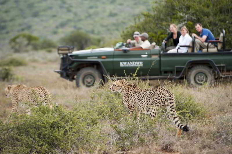 Kwandwe Private Game Reserve - Great Fish River Lodge Grahamstown Buitenkant foto
